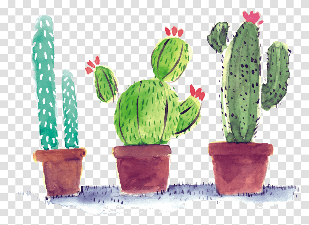 Cactus Watercolor Background Cactus Cute Clipart Transparent Png
