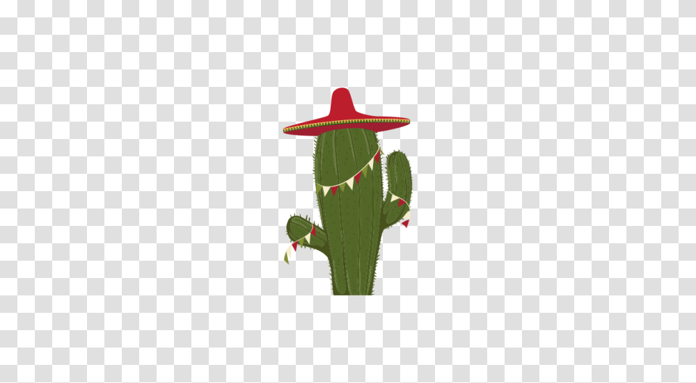Cactus With Sombrero Free Vector And, Plant, Flower, Green Transparent Png