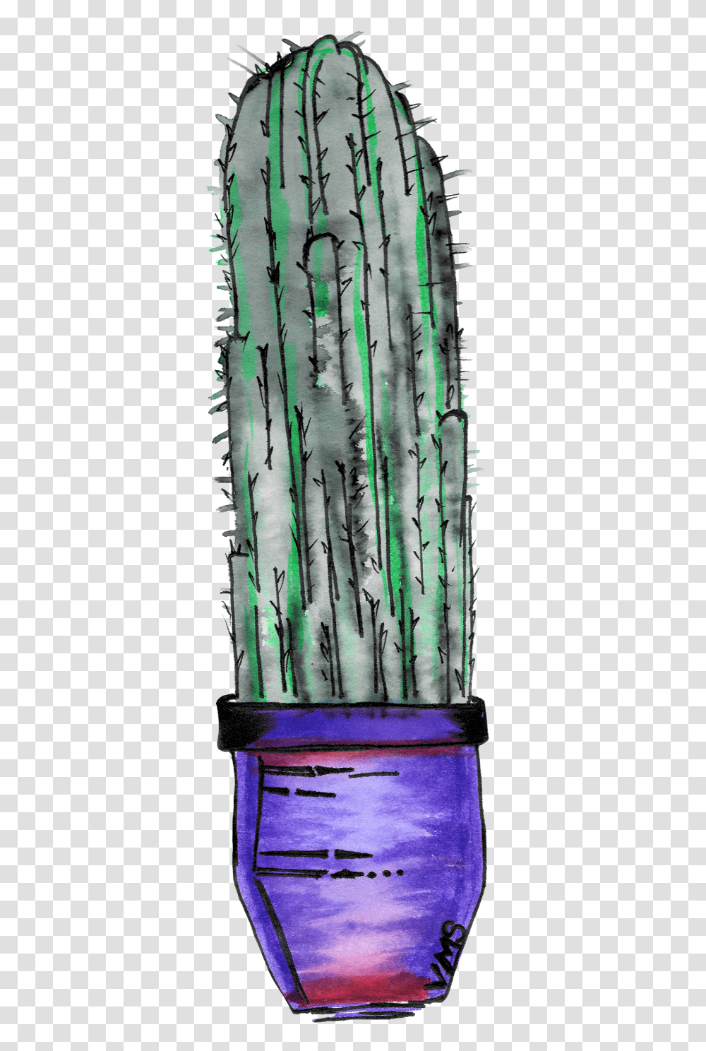 Cactuswatercolor Square, Plant Transparent Png