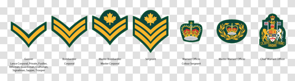 Cadet Ncm Ranks, Logo, Trademark, Emblem Transparent Png