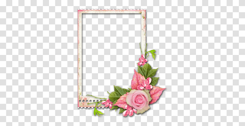 Cadre Avec Fleurs Cadres Fleur, Plant, Flower, Rose, Flower Arrangement Transparent Png