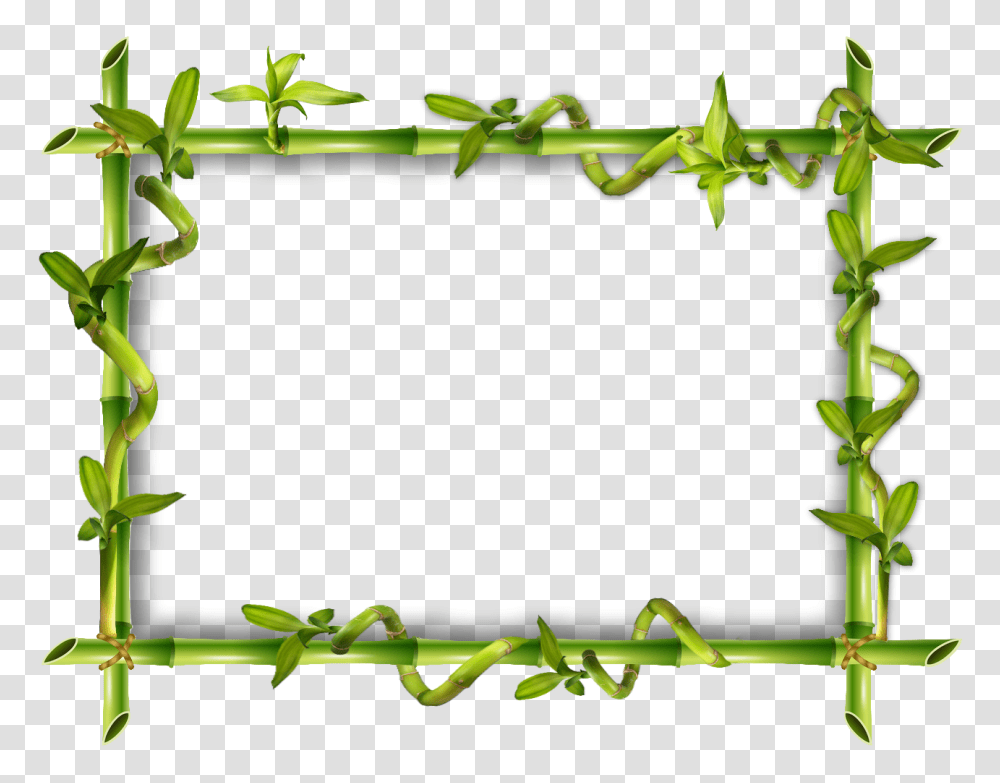 Cadre Bambou, Plant, Scroll, Barbed Wire Transparent Png