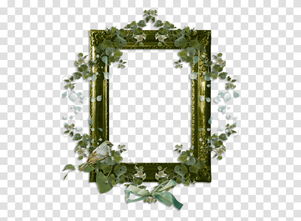 Cadre Mirror, Plant, Gate, Flower, Blossom Transparent Png