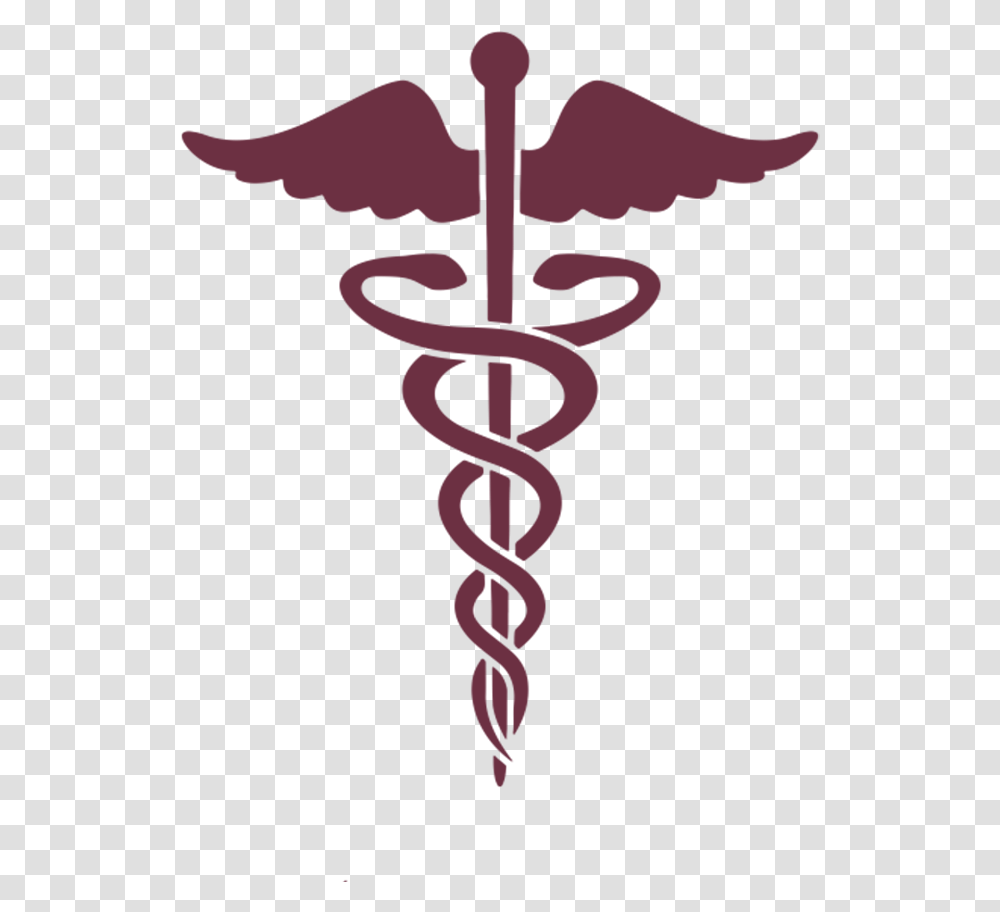 Caduceus As A Symbol Of Medicine Staff Of Hermes Medical Medical Symbol, Cross, Flower, Plant Transparent Png