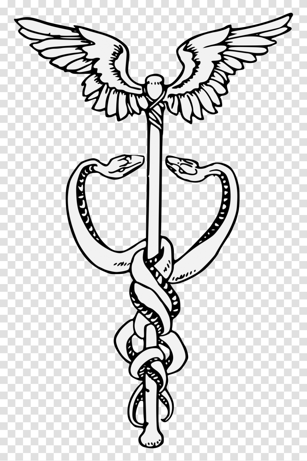 Caduceus, Cross, Plant, Flower Transparent Png