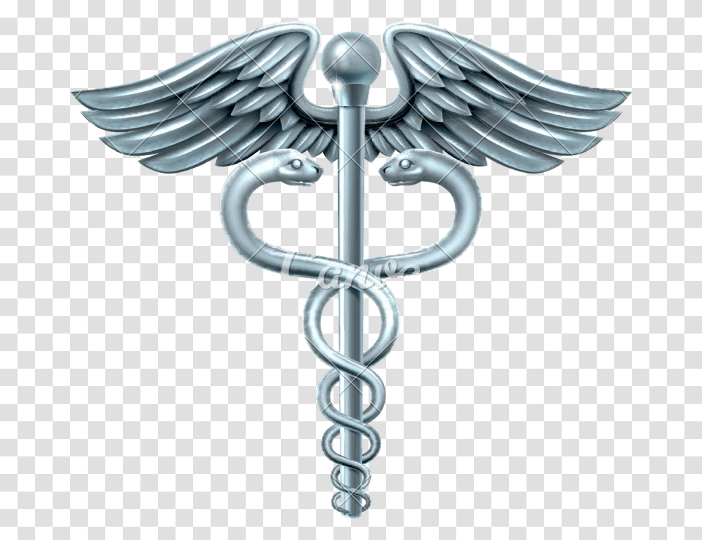 Caduceus Medical Icon Gold, Emblem, Shower Faucet, Weapon Transparent Png