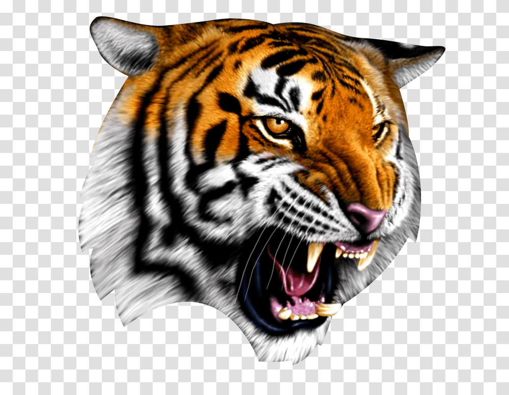 Cadworxlive Gives You Access To Quality Peices Confederate Flag With Tiger, Wildlife, Mammal, Animal Transparent Png