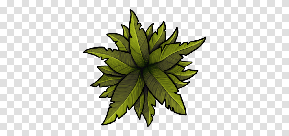 Caeora Language, Pattern, Leaf, Plant, Fractal Transparent Png