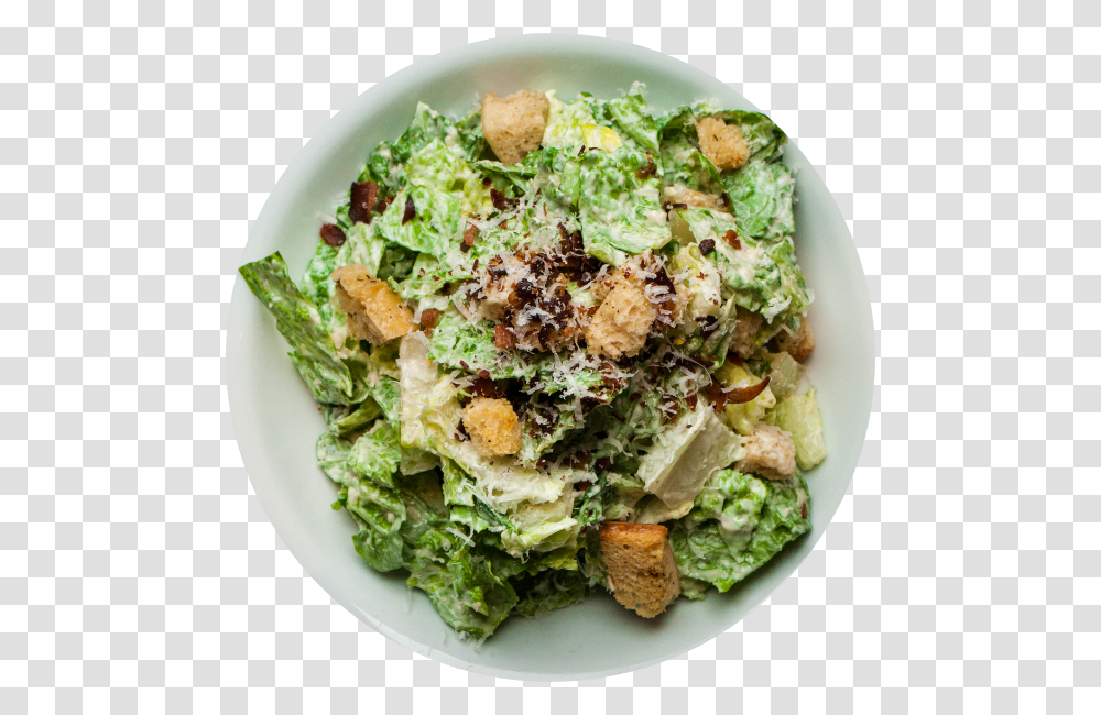Caesar Salad Caesar Salad, Plant, Food, Dish, Meal Transparent Png