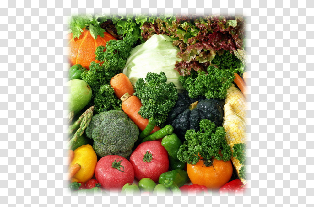 Caesar Salad, Plant, Broccoli, Vegetable, Food Transparent Png