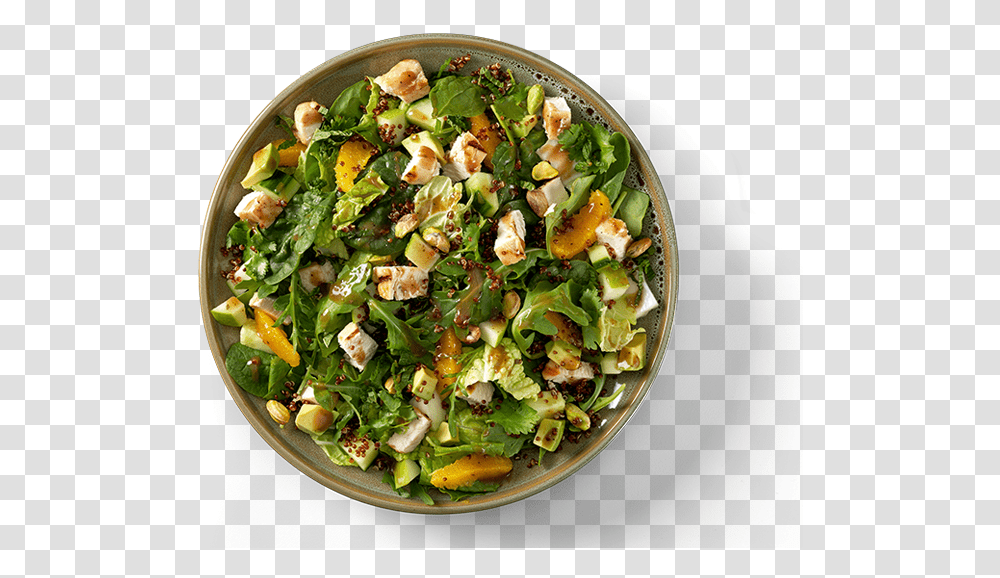 Caesar Salad, Plant, Dish, Meal, Food Transparent Png