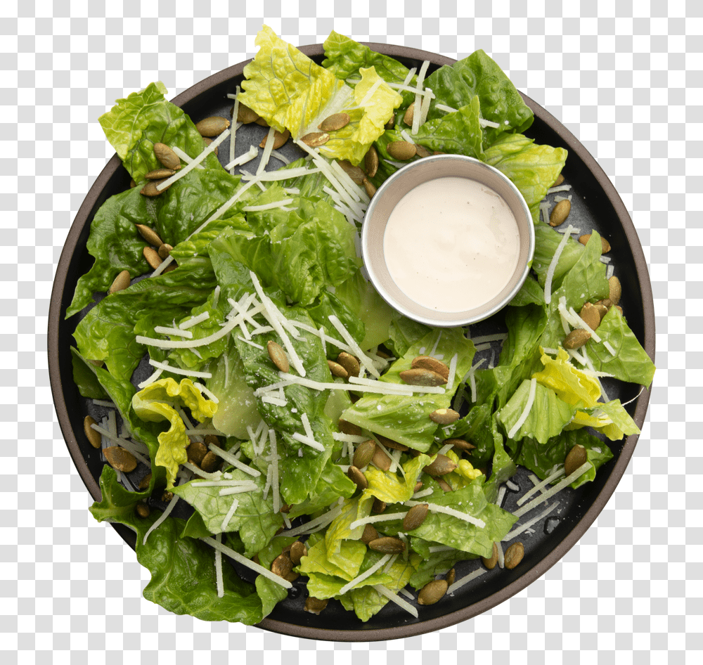 Caesar Salad, Plant, Egg, Food, Dish Transparent Png