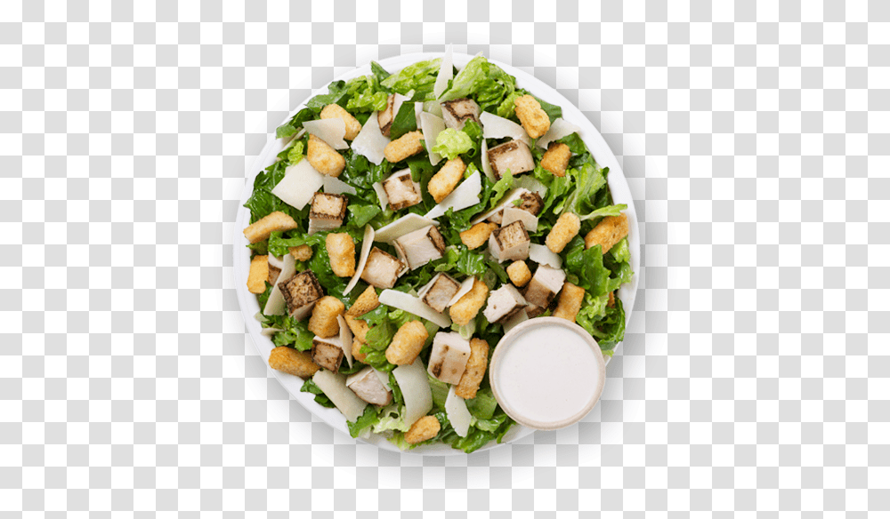 Caesar Salad, Plant, Food, Dish, Meal Transparent Png