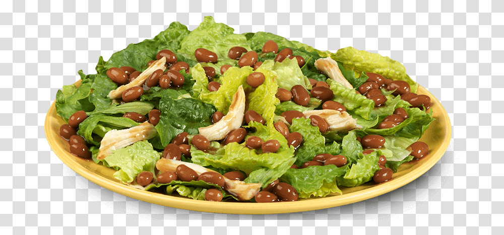 Caesar Salad, Plant, Food, Vegetable, Lettuce Transparent Png