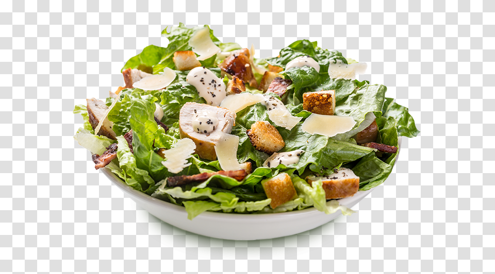 Caesar Salad, Plant, Food, Vegetable, Produce Transparent Png