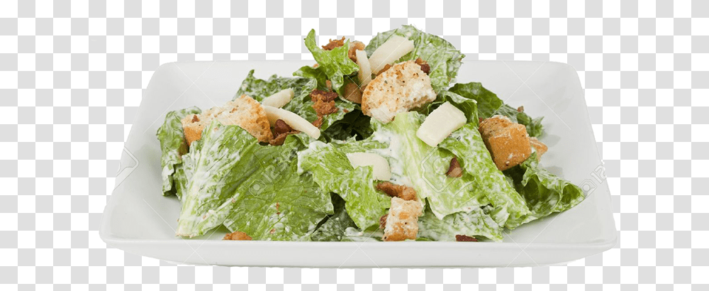 Caesar Salad, Plant, Lettuce, Vegetable, Food Transparent Png