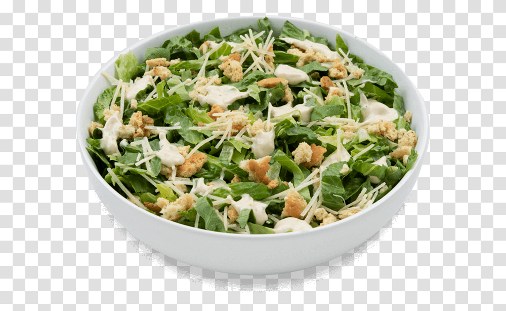 Caesar Salad, Plant, Produce, Food, Vegetable Transparent Png