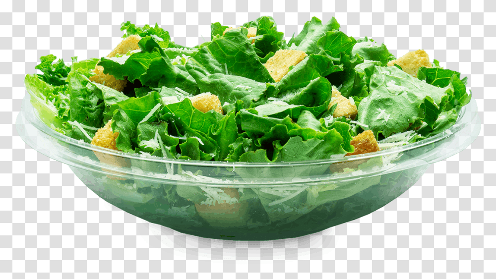 Caesar Salad, Plant, Vegetable, Food, Lettuce Transparent Png