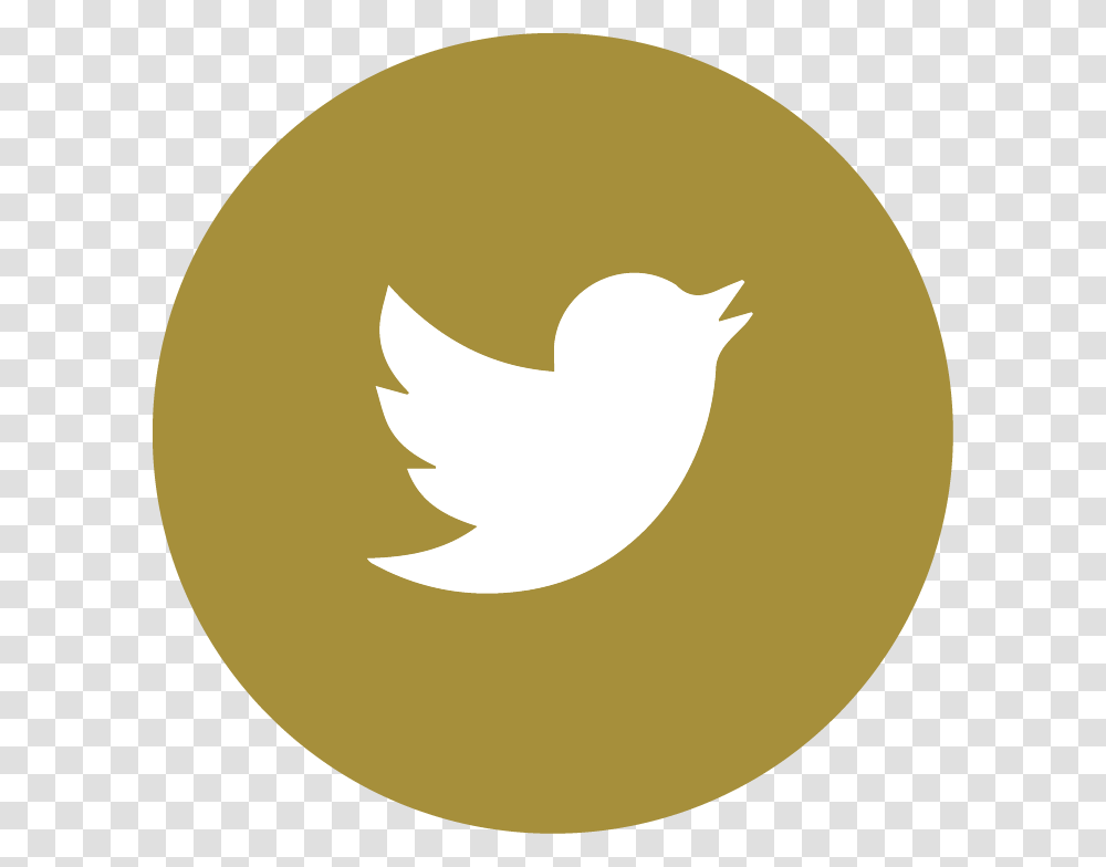 Cafe Icon Twitter Logo Hd, Trademark, Plant, Bird Transparent Png