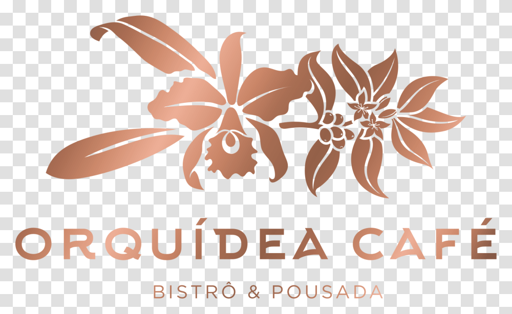 Cafe Orquidea, Plant, Poster, Floral Design Transparent Png