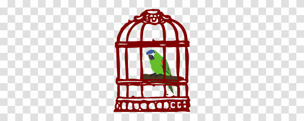 Cage Animals, Bird, Parrot, Gate Transparent Png