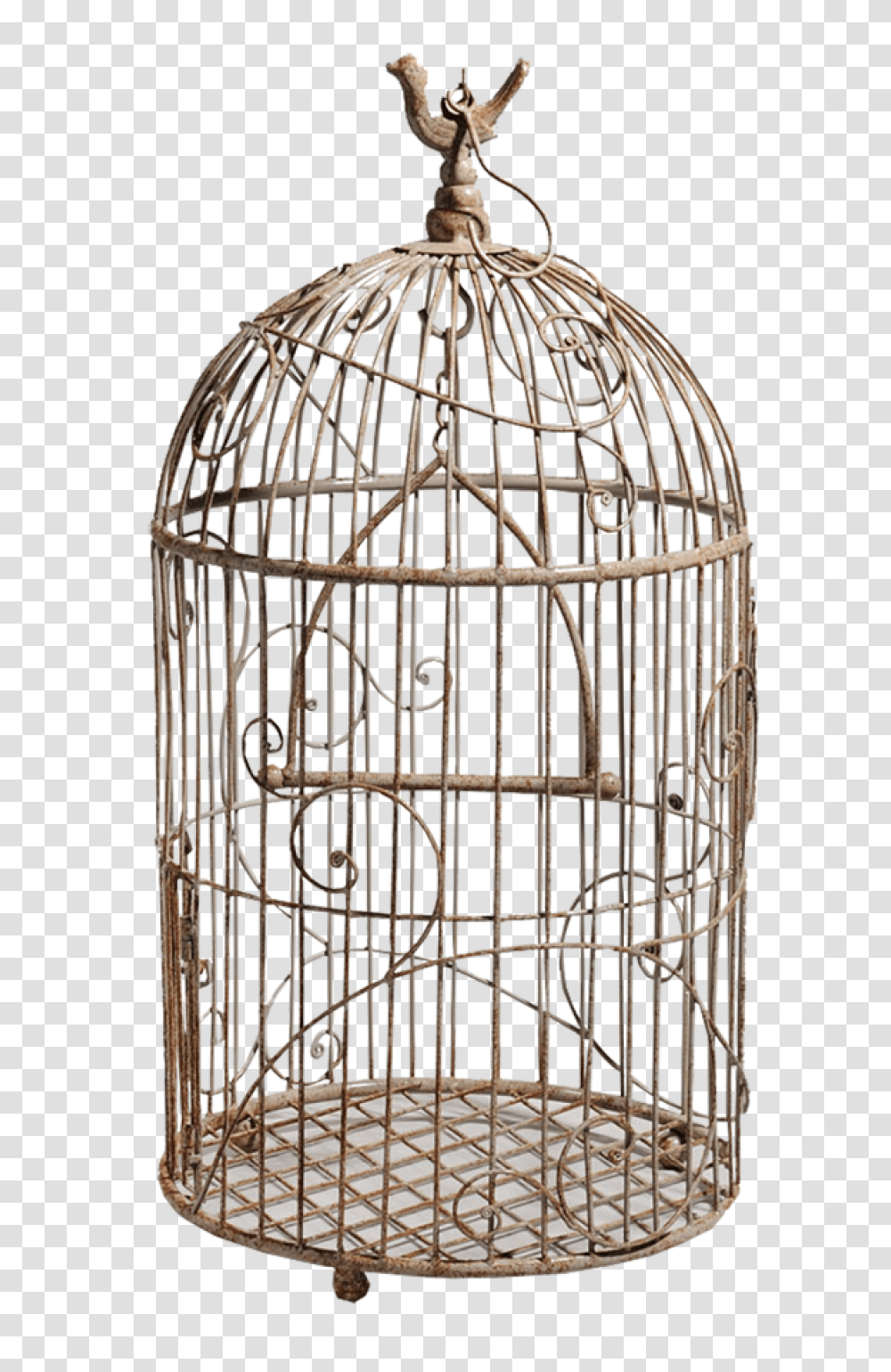 Cage Bird Bird Cage, Gate, Prison, Den, Sphere Transparent Png