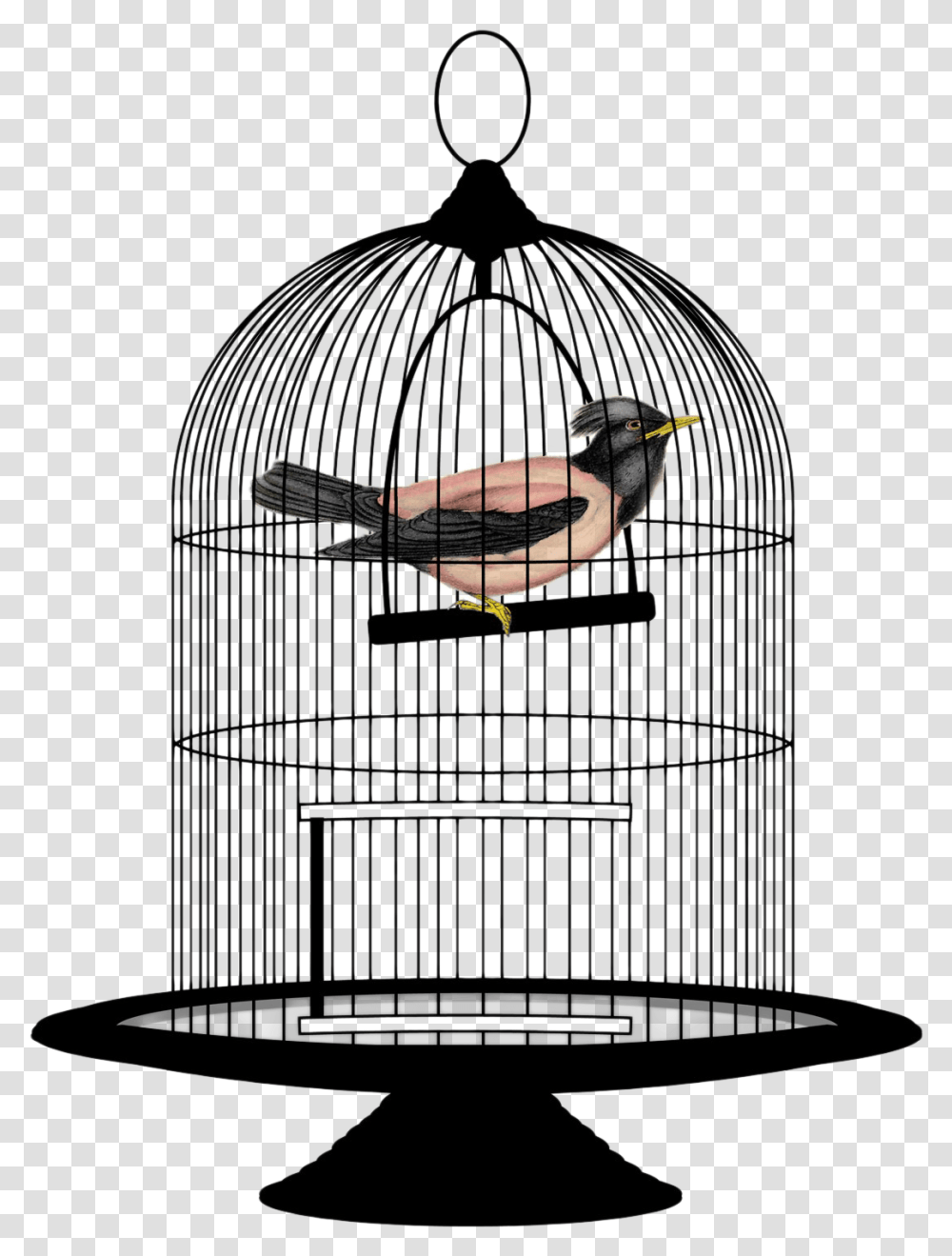 Cage Bird Image Bird In A Cage, Gate, Appliance Transparent Png