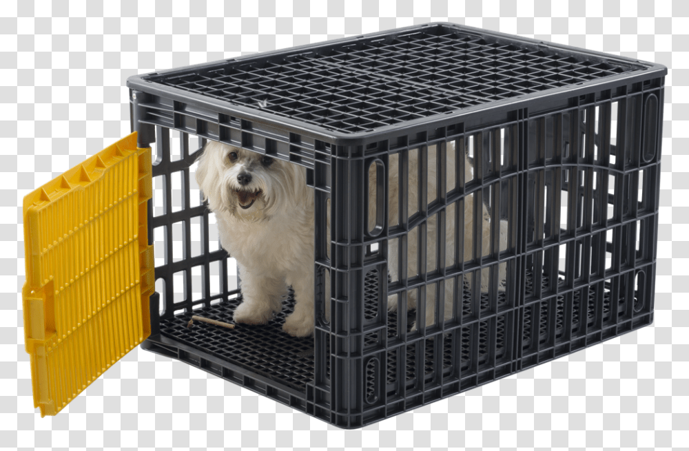 Cage, Dog, Pet, Canine, Animal Transparent Png