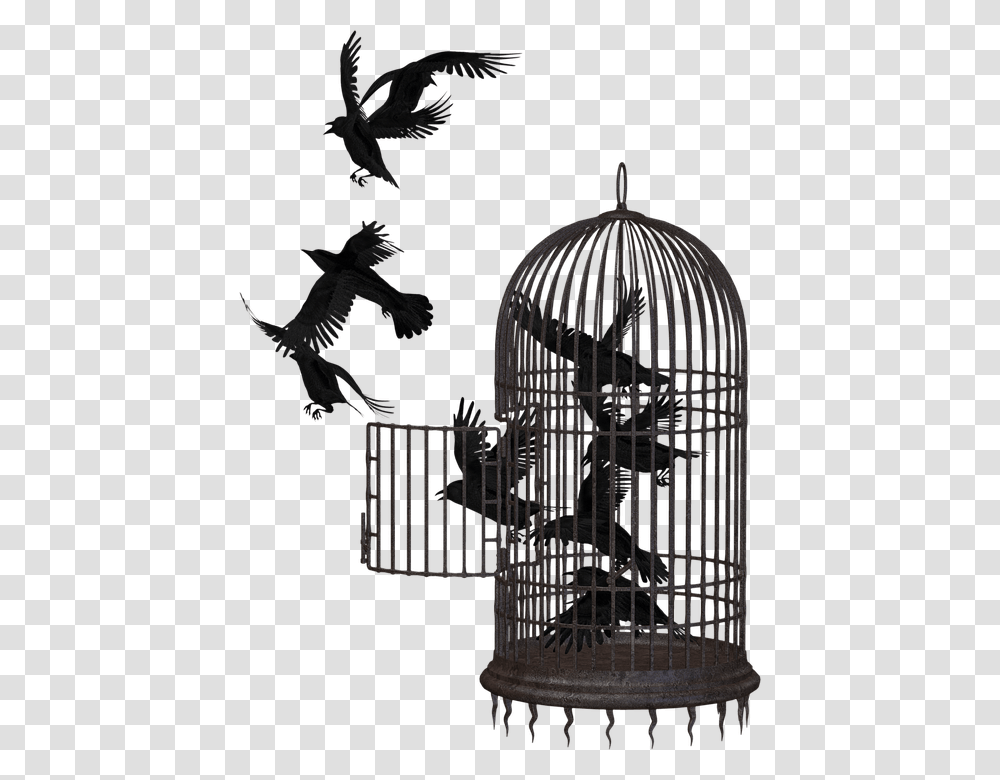 Cage, Gate, Bird, Animal, Chime Transparent Png