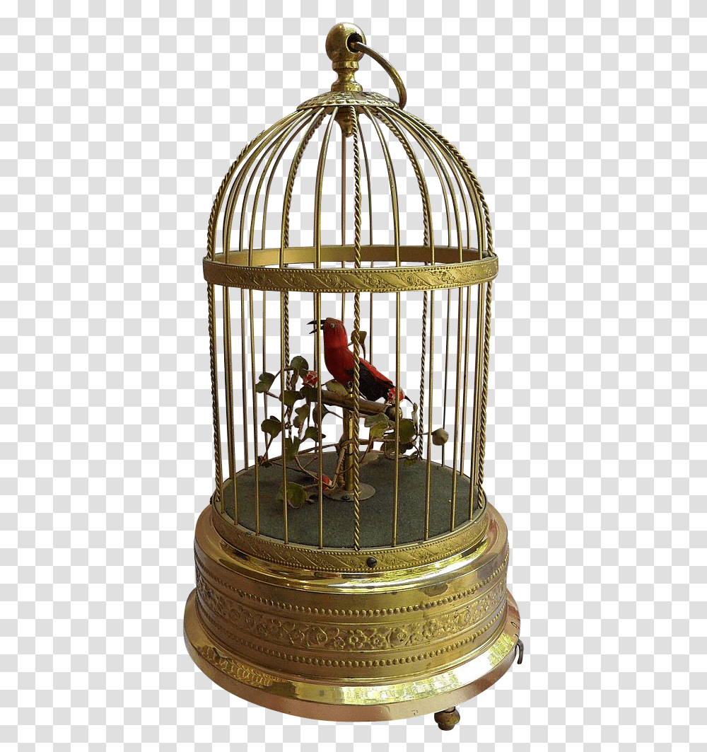 Cage Parrot Bird In Cage, Furniture, Chandelier, Animal, Wedding Cake Transparent Png