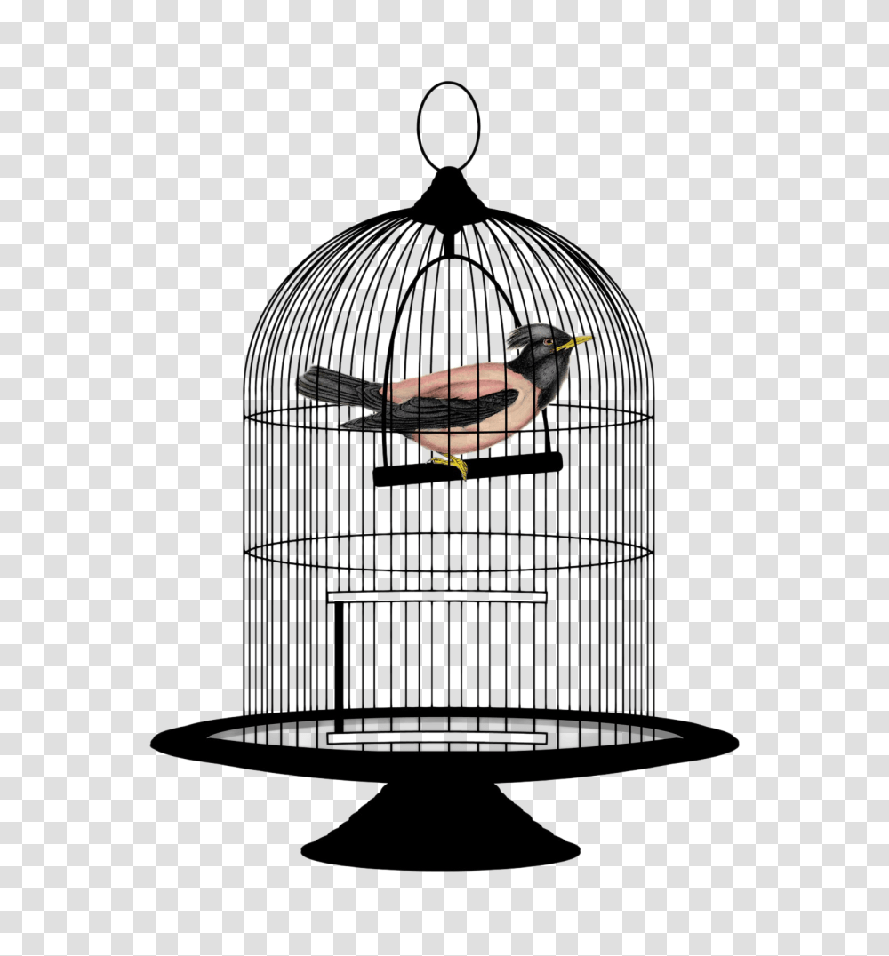 Cage, Tabletop, Furniture, Gate, Chandelier Transparent Png