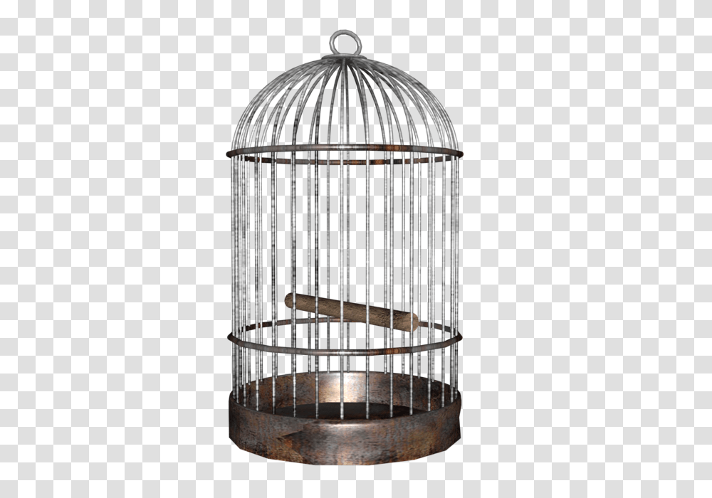 Cage, Tabletop, Furniture, Home Decor, Screen Transparent Png
