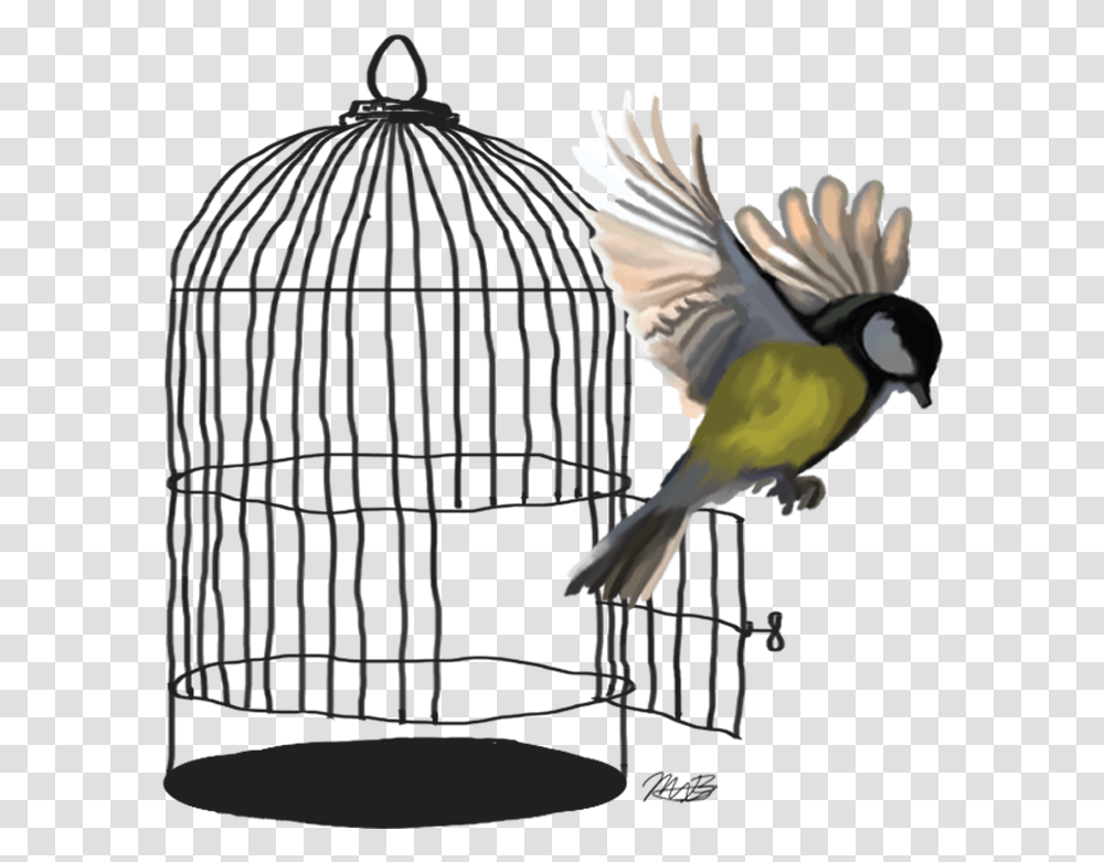 Caged Bird Background Bird Flying Out Of Cage Drawing, Animal, Finch Transparent Png