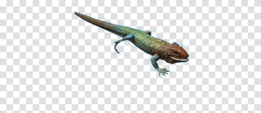 Caiman Lizard Official Green Hell Wiki Lacerta, Animal, Amphibian, Wildlife, Reptile Transparent Png