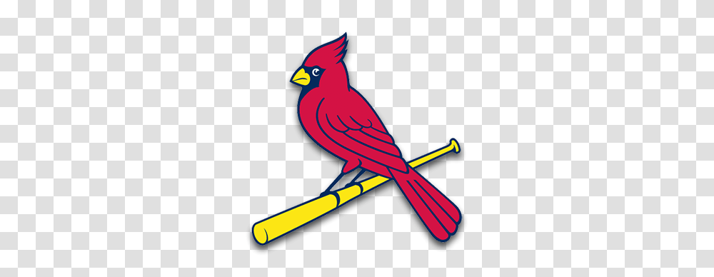 Cains Corner Mlb Power Rankings, Animal, Bird, Cardinal, Scissors Transparent Png