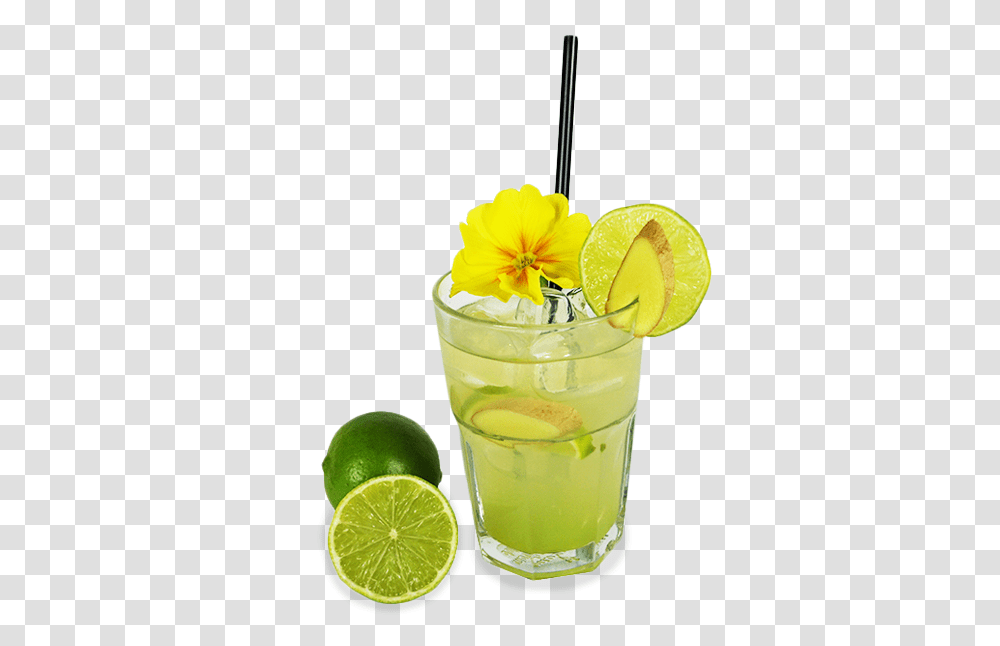 Caipirinha, Lemonade, Beverage, Drink, Cocktail Transparent Png