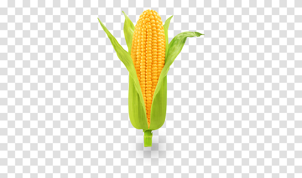 Caito Foods Pictures Of Vegetables, Plant, Corn, Grain, Produce Transparent Png