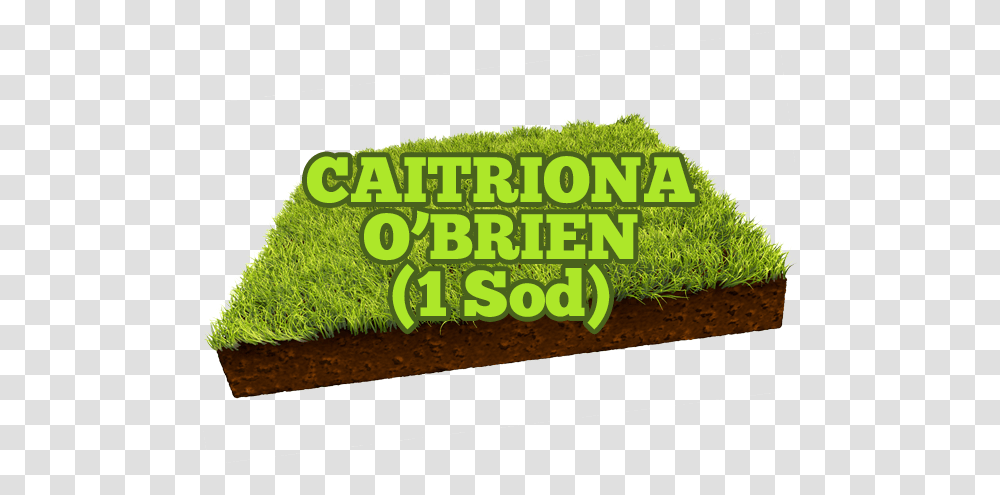 Caitriona O Brien Opening Soon Banner, Plant, Vegetation, Outdoors Transparent Png