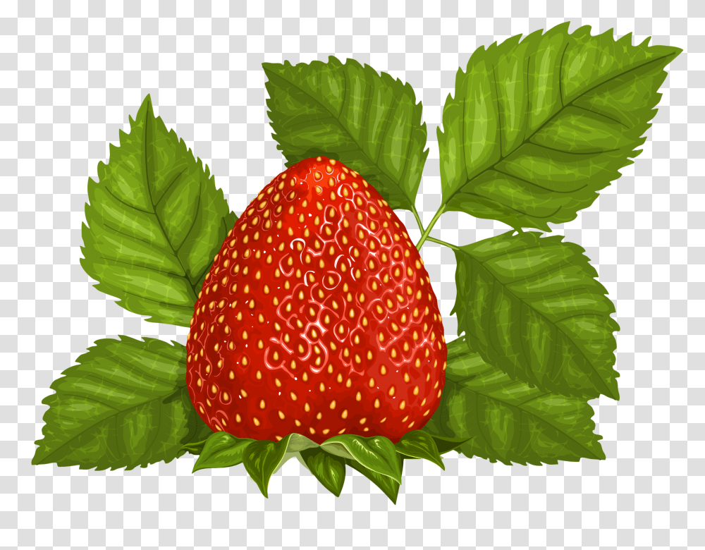 Cajoline Vi Fraises Cu Fruit, Strawberry, Plant, Food, Leaf Transparent Png