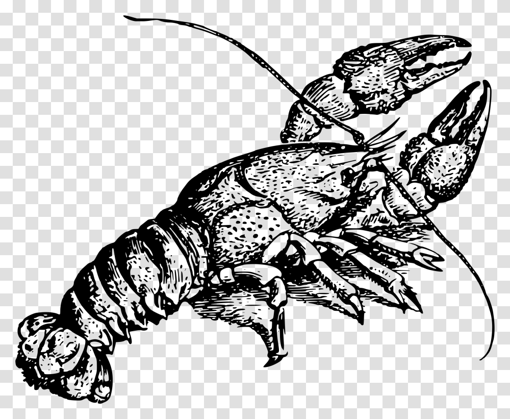 Cajun Lobster Drawing Dictionary In Lobster, Gray, World Of Warcraft Transparent Png