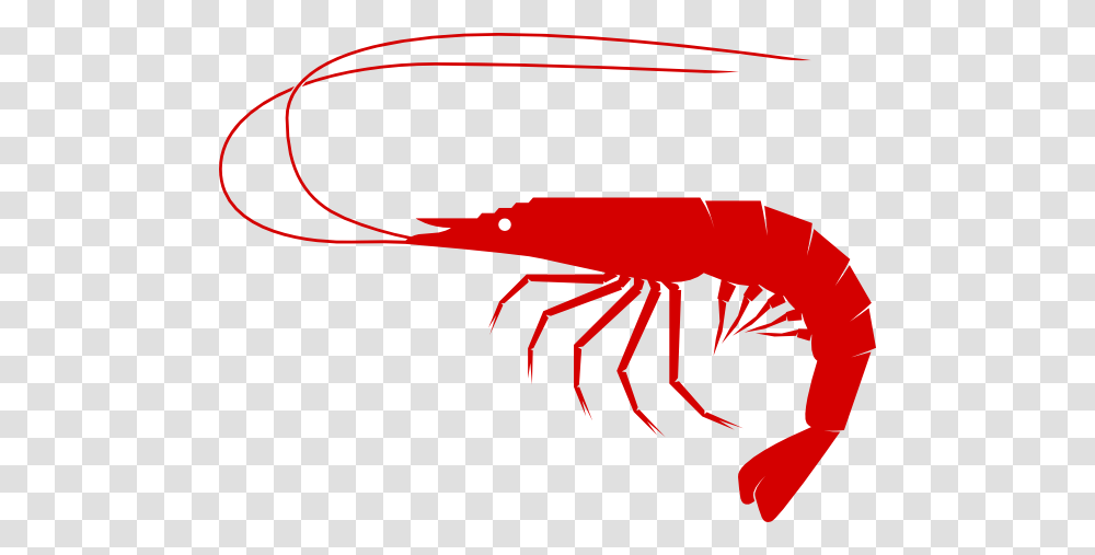 Cajun Shrimp Boil Clipart, Bow, Seafood, Sea Life, Animal Transparent Png