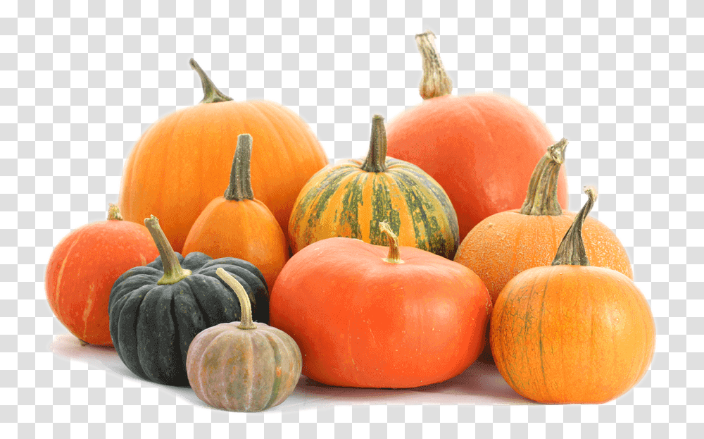 Calabash Pumpkins, Plant, Squash, Produce, Vegetable Transparent Png