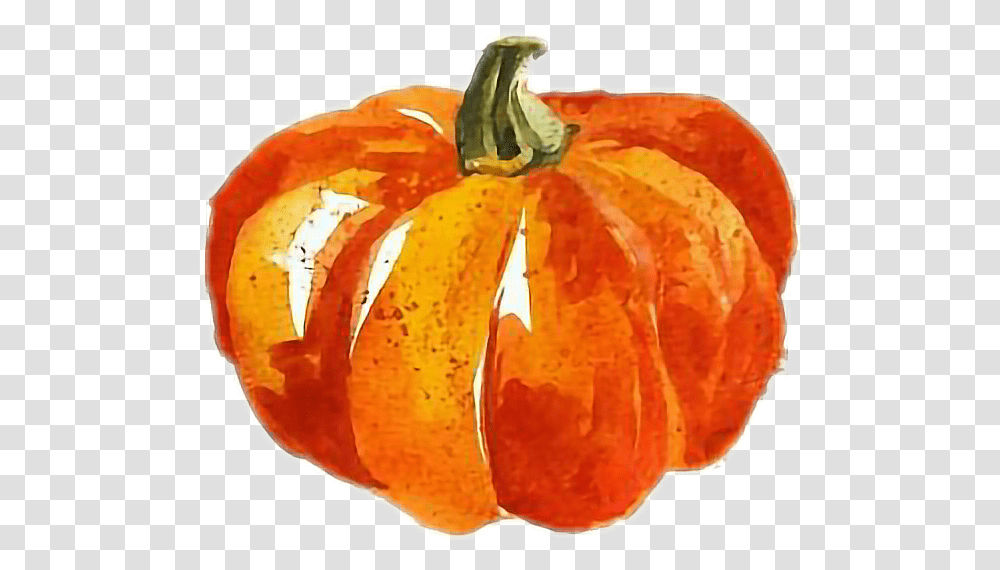 Calabaza Acuarela Happy Thanksgiving Pumpkin, Plant, Vegetable, Food, Produce Transparent Png