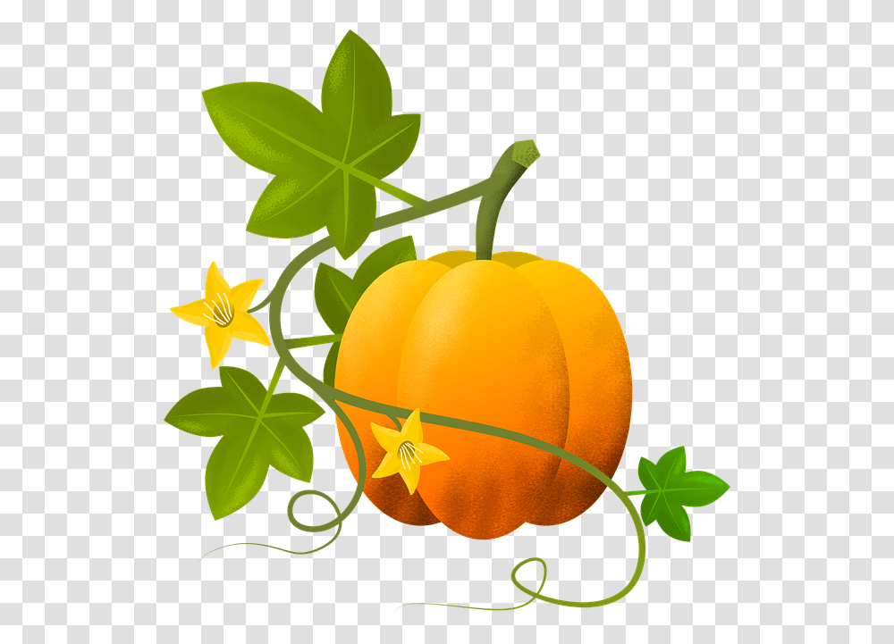 Calabaza Ilustracin Plantas Vegetal Hojas Gambar Pohon Labu Kartun, Leaf, Fruit, Food, Flower Transparent Png