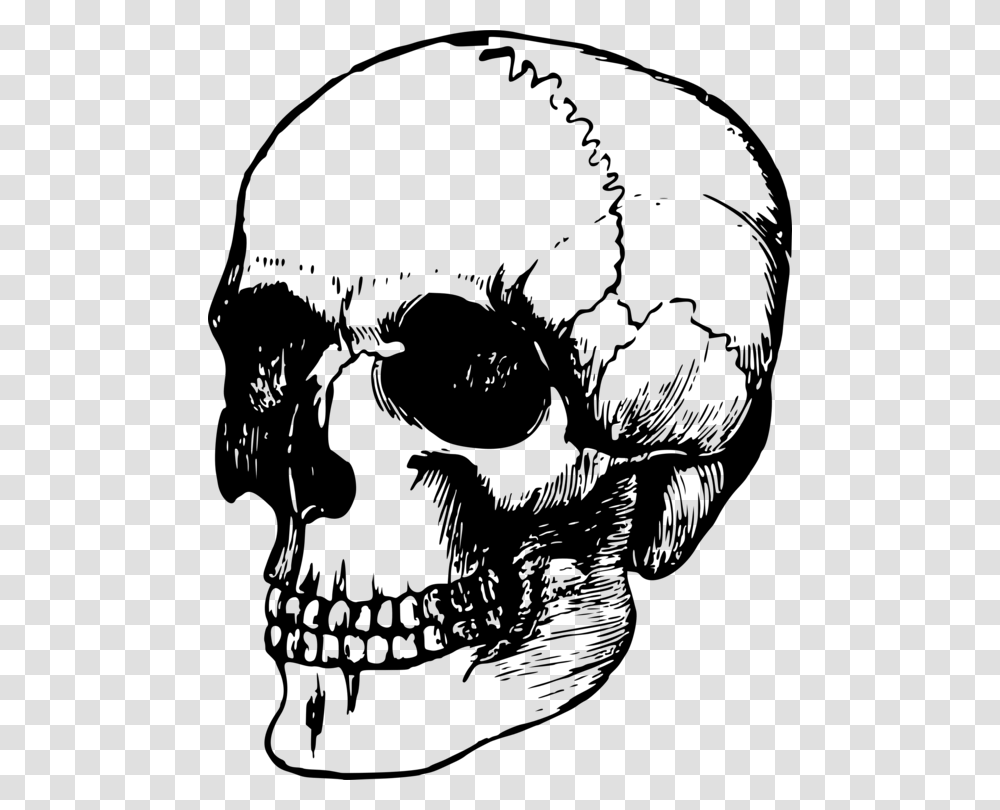 Calavera Human Skull Symbolism Art Human Skeleton, Gray, World Of Warcraft Transparent Png