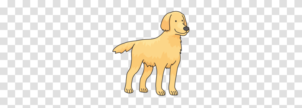 Calculations Groups And Sets Colouring In Tableau, Golden Retriever, Dog, Pet, Canine Transparent Png
