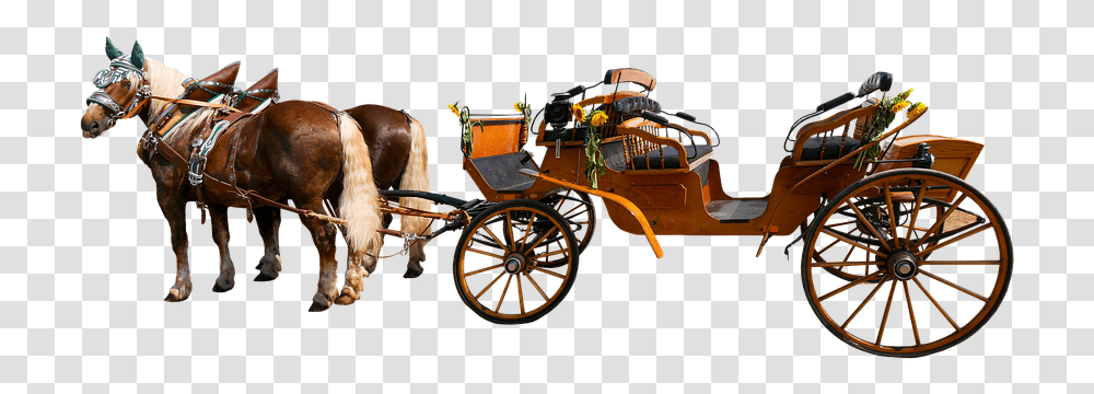 Caleche, Horse, Mammal, Animal, Carriage Transparent Png