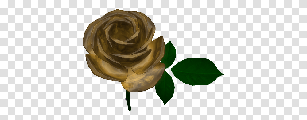 Caledon Rose Hunt Scoreboard, Flower, Plant, Petal, Bronze Transparent Png