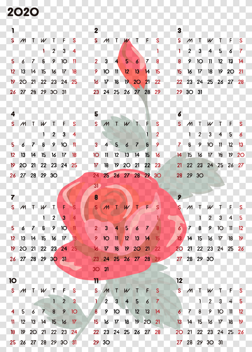 Calendar 2020 Free Circle, Poster, Advertisement, Rose Transparent Png