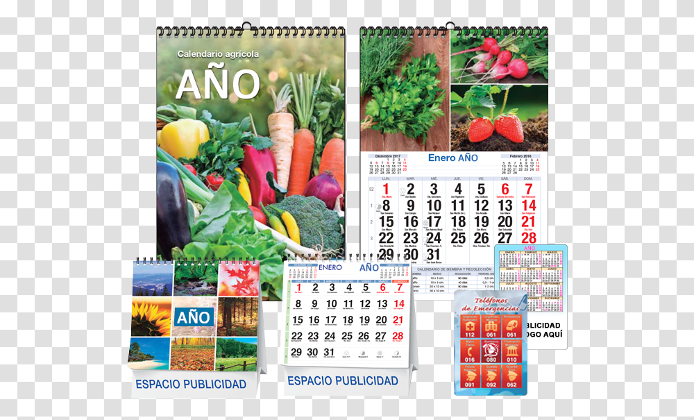 Calendarios Personalizados Calendario 2018 De Empresas, Plant, Food, Vegetable Transparent Png